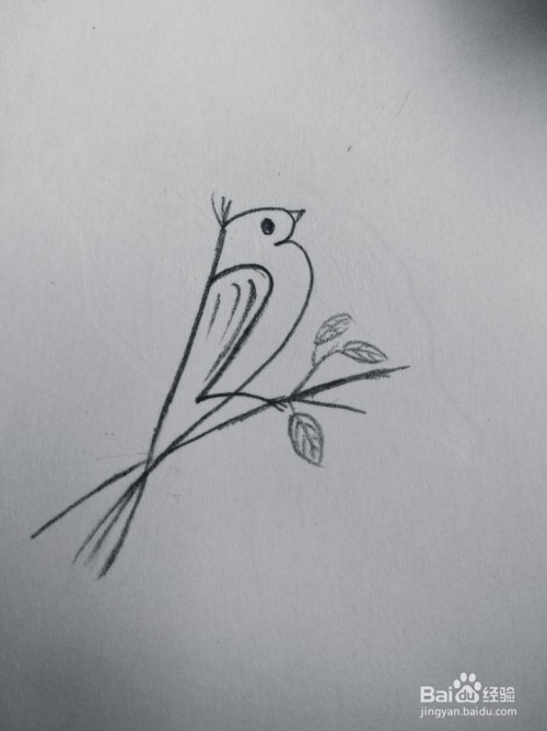 非常简单的小鸟数字画