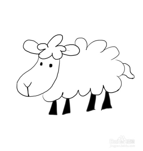 简笔画:可爱的小绵羊