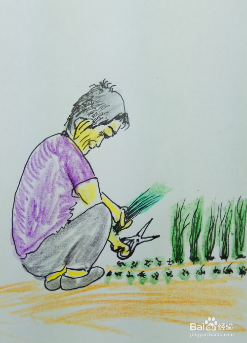 怎样画简笔画"剪韭菜的人"?