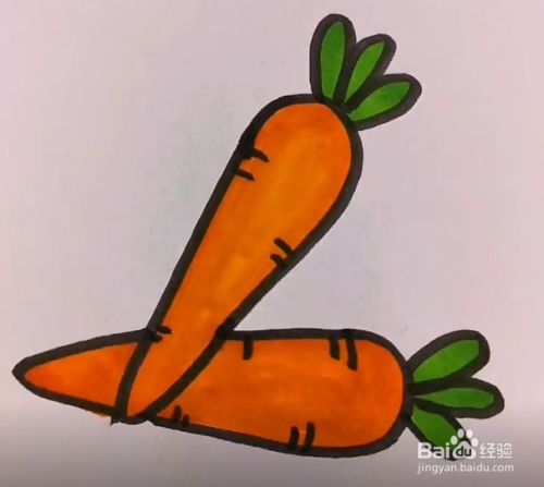 最后给胡萝卜涂上颜色,2个胡萝卜简笔画就完成啦.