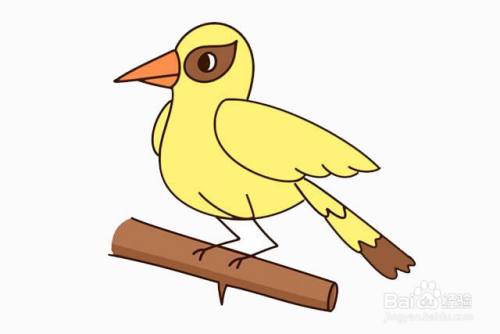 卡通彩色黄鹂鸟的简笔画