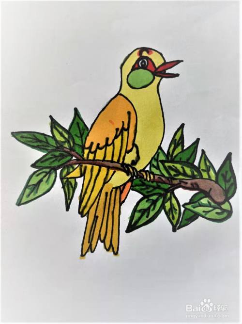 野生黄鹂鸟怎么画