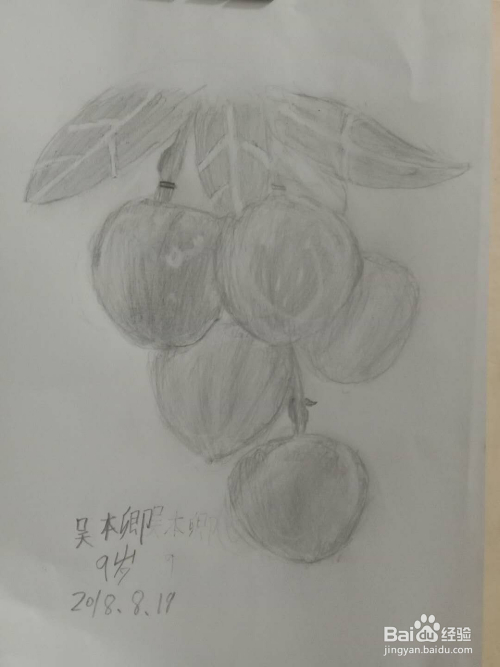 素描静物蔬菜水果——荔枝怎么画