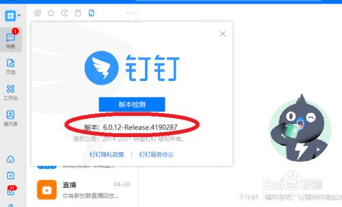 钉钉电脑版怎么查看软件版本?怎么更新