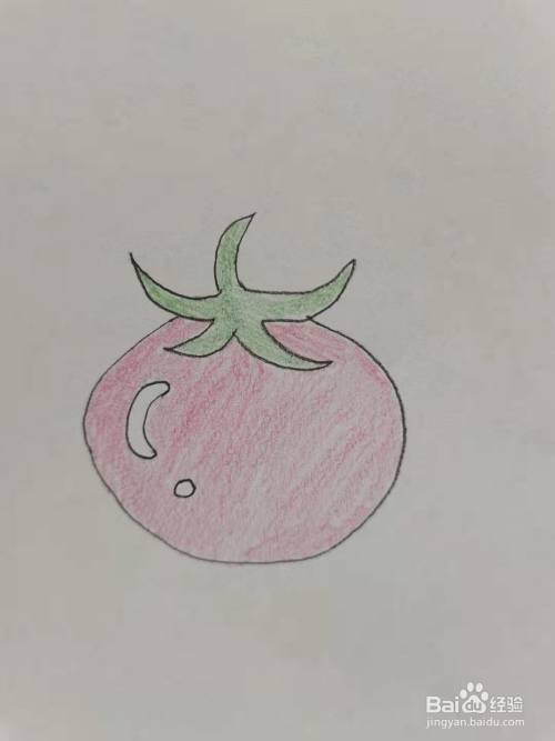 最后,涂上漂亮的颜色,西红柿简笔画,你学会了吗?