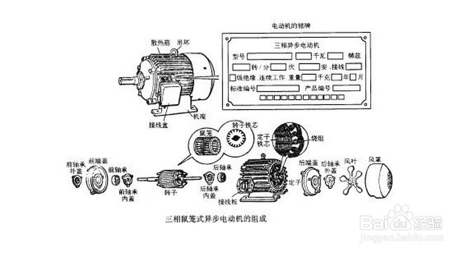 交流异步电动机的拆装图解