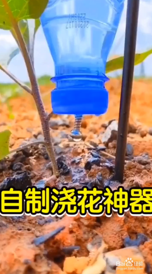 如何自制浇花神器?