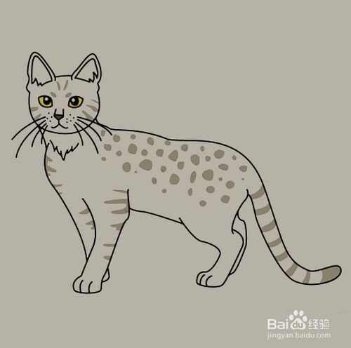 如何手工画小猫咪的简笔画?