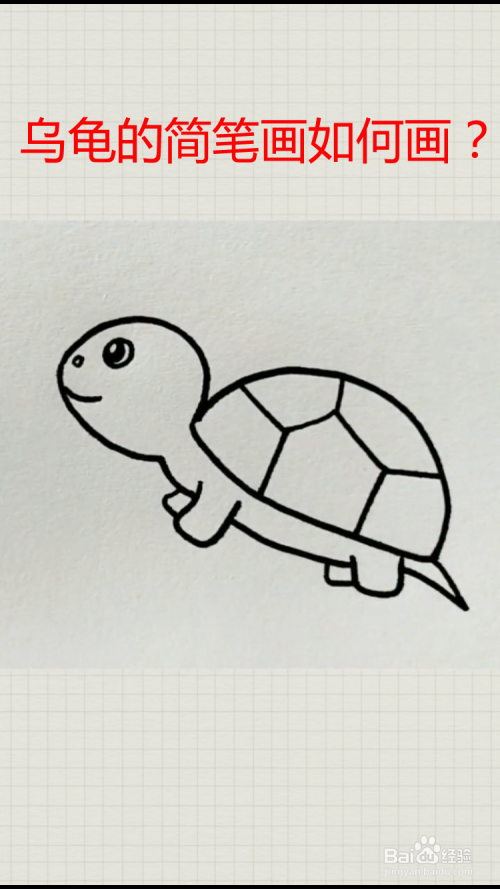 2 接着画出乌龟的头部,四肢,尾巴,如下图所示.