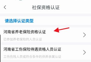 进入社保资格认证,点击下方的河南省养老保险资格认证进入,输入相关