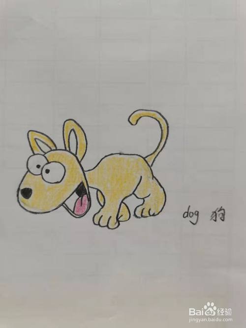 最后,涂上漂亮的颜色,可爱的小狗简笔画,你学会了吗?