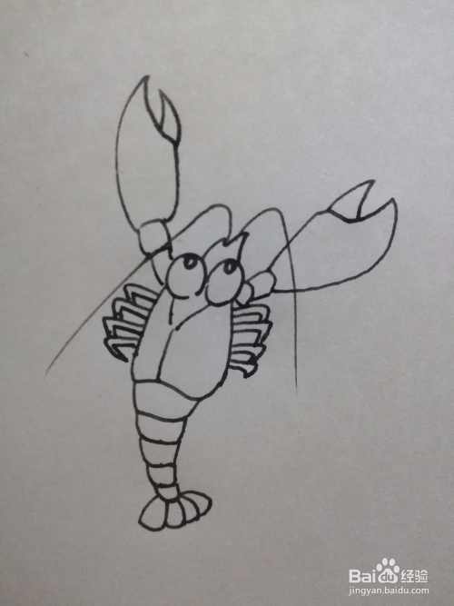 龙虾的简笔画怎么画,怎么画龙虾