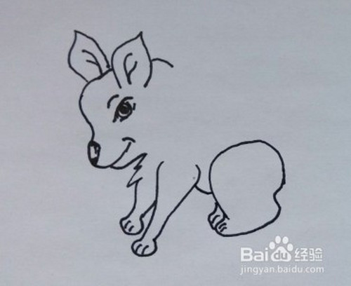 儿童简笔画:怎么一步一步画狐狸
