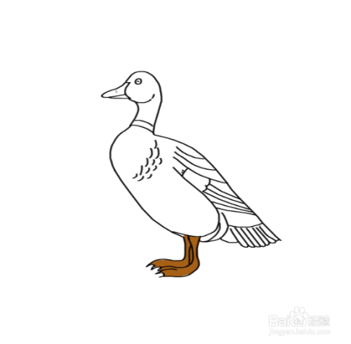 怎么画鸭子的简笔画