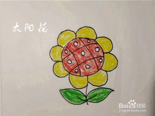 简笔画教程——如何一笔一笔画出太阳花?