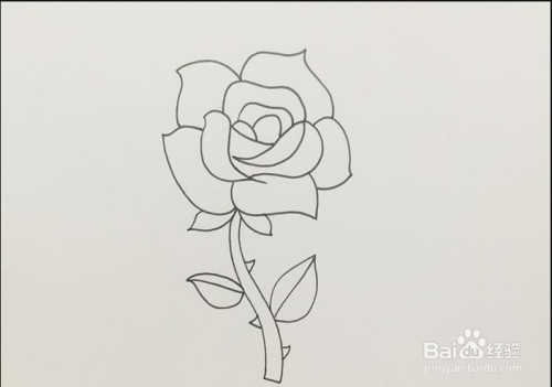 怎样画好一朵美丽的玫瑰花