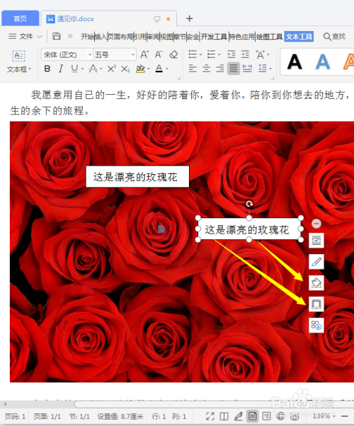 如何在word文档中给插入的图片上添加文字说明