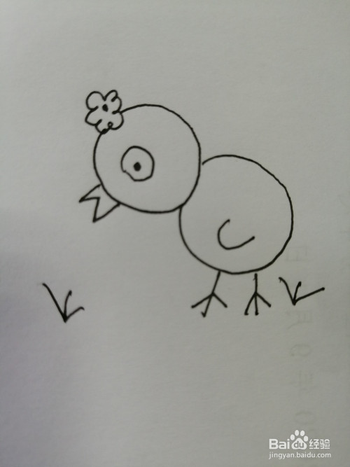 简笔画可爱的小鸡怎么画-百度经验
