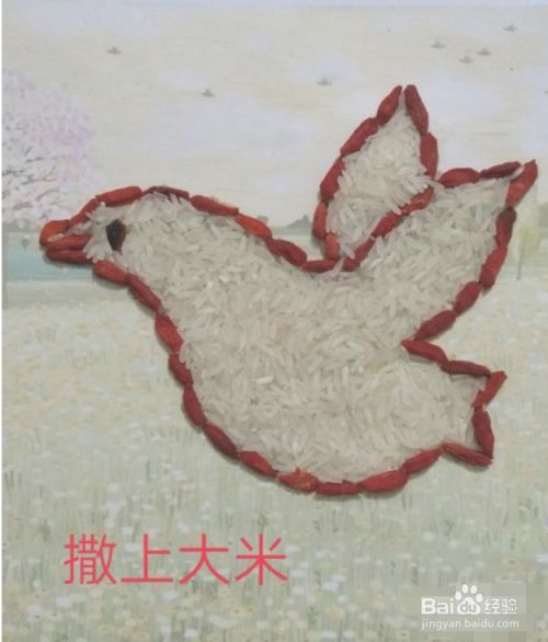 第六步:最后将大米撒到小鸟的身体里面,如果需要收藏挂图,可以将