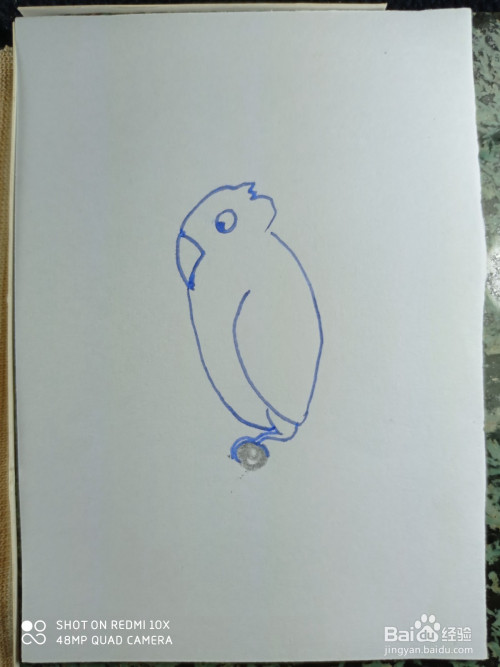 怎样画简笔画站在树枝上的鹦鹉?