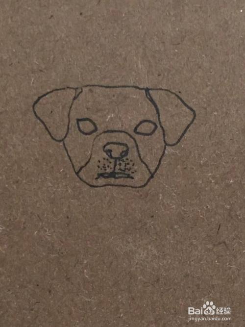 我们用笔画出拉布拉多犬的眼睛,鼻子和嘴巴.