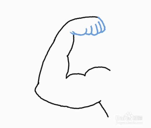 如何画人体臂膀的肌肉
