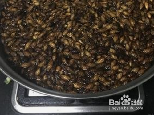 苍耳子油的制作方法?