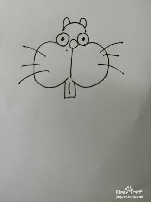第三步,接着继续画出可爱的土拨鼠的尖尖的牙齿和两边的胡须,画法也
