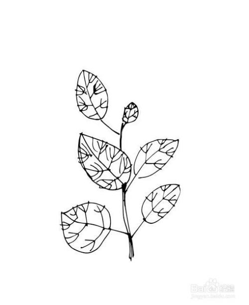 儿童简笔画-手绘树叶的简笔画法