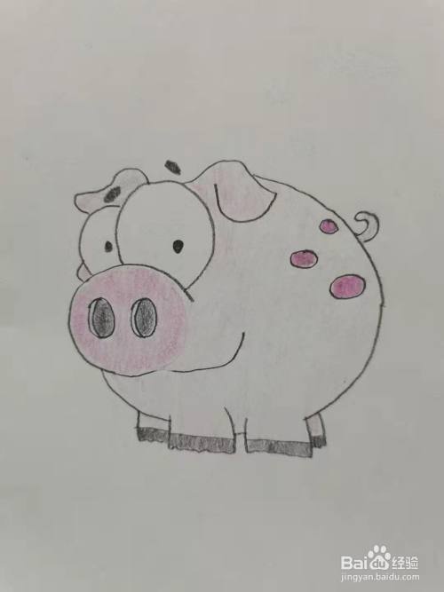 胖胖的小猪怎么画