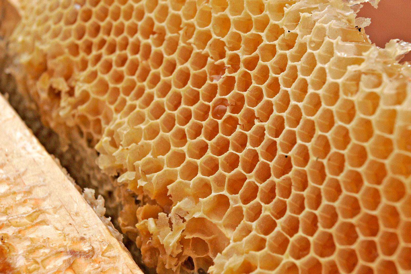 蜂王浆是什么样子图片,正宗蜂王浆图片,蜂蜜和蜂王浆区别图片_大山谷图库