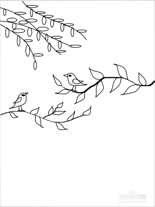 简笔画:春天枝头上小鸟的画法