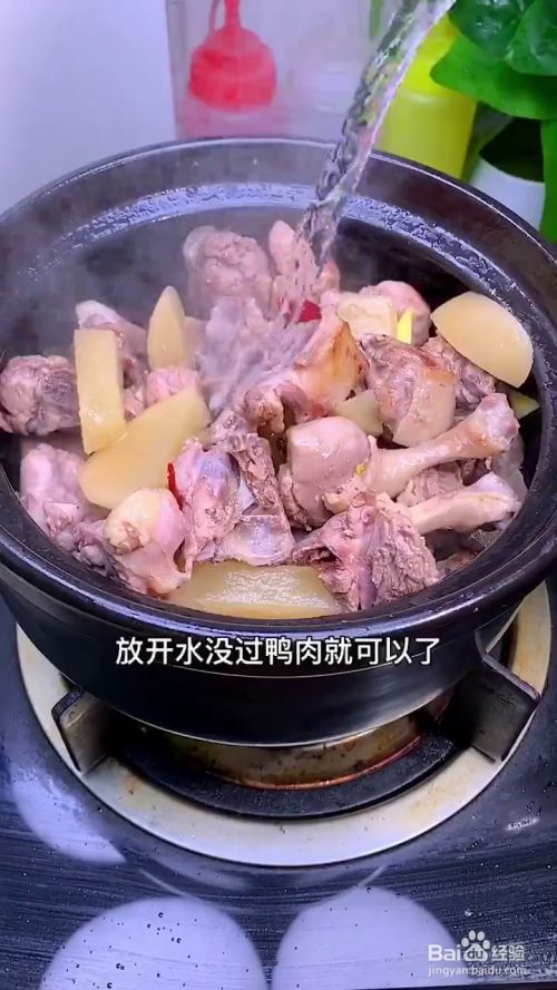 如何用砂锅制作好吃开胃的酸萝卜老鸭汤?