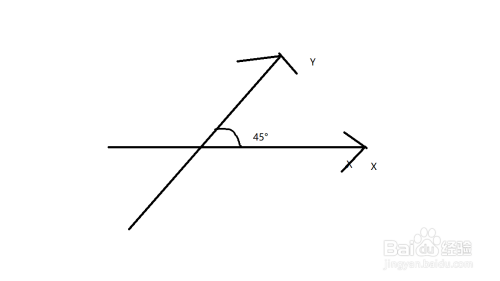 2 在斜坐标系上画出图形平行y轴的线段,并且长度为原来的一半.