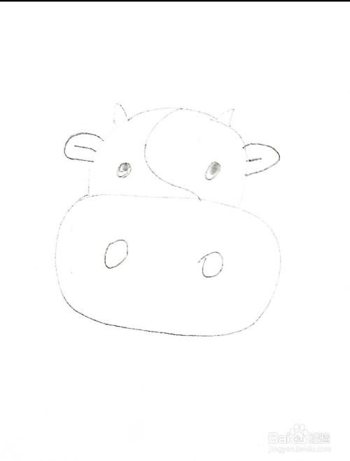 首先,画出小牛的,头,眼睛,注意不要画得太大也不要太小