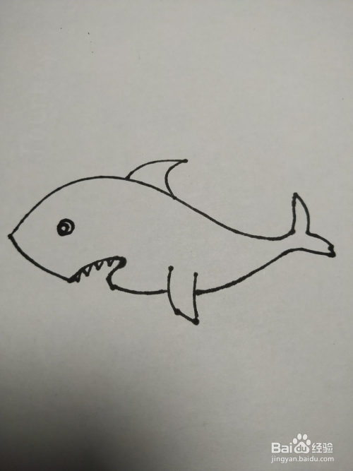 鲨鱼的简笔画如何画呢?