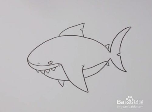 虎鲨的简笔画怎么画