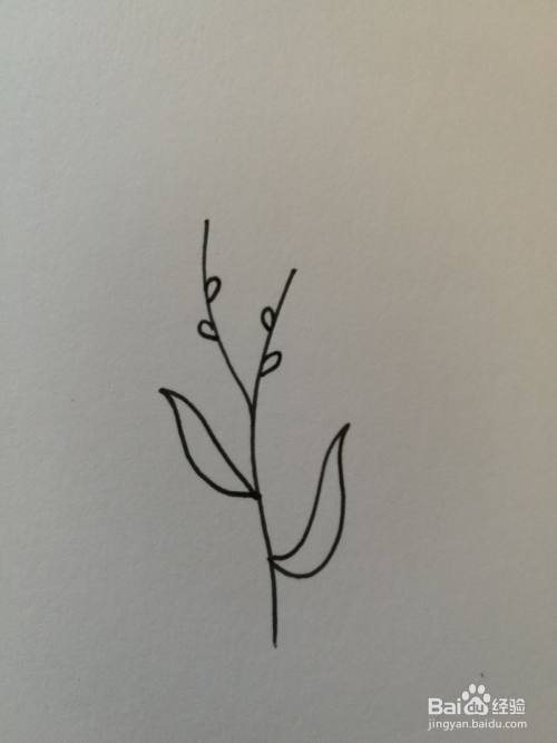 小草简笔画之画法四