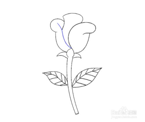 如何画一朵简单的玫瑰