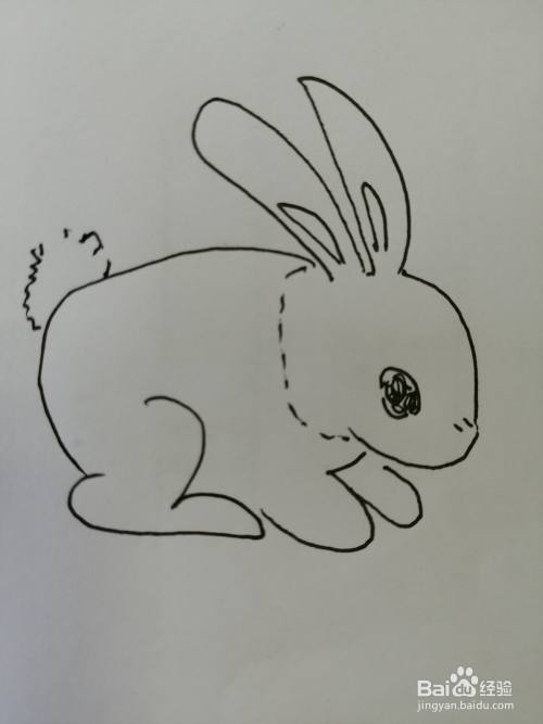 今天,我们一起来学习可爱的小兔子的画法.