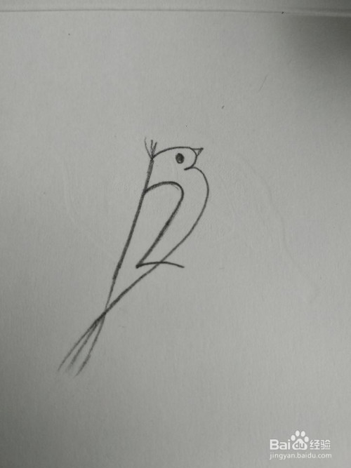非常简单的小鸟数字画