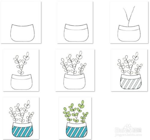 儿童彩色简笔画-绿色圆盆植物的简笔画法