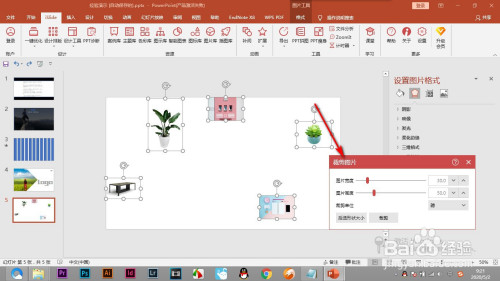 ppt如何通过插件批量处理图片尺寸且不变形?