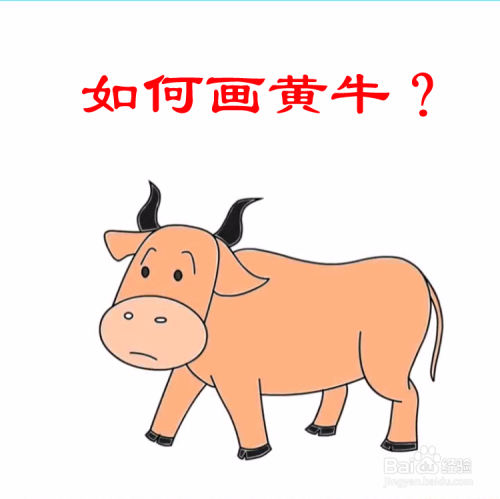 如何画黄牛?