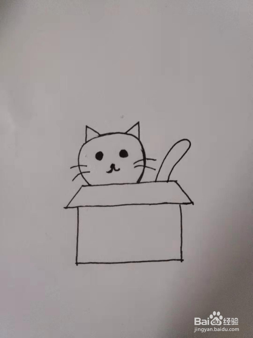 纸箱猫咪简笔画