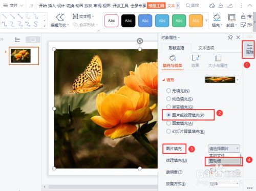 ppt图片怎么扭曲变形