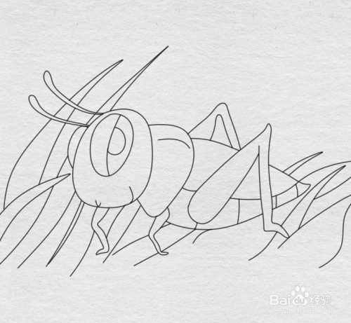 简笔画--如何画草丛中的蟋蟀的简笔画