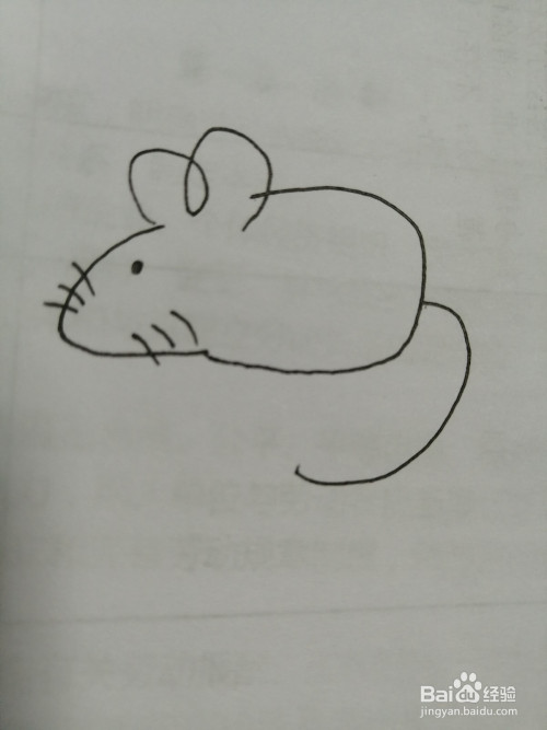 小老鼠样子很可爱,下面,一起来学习简笔画可爱的小老鼠的画法.