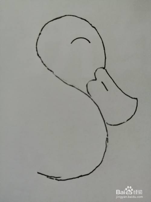 第四步,在可爱的小鸭子的头部里面画出一条弯曲的弧线,小鸭子的眉毛
