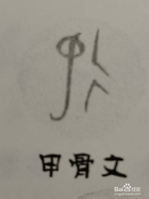 甲骨文中的蛇字和金文中的蛇字完全是象形字的.